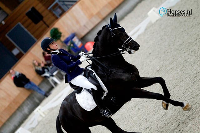 Ballerina Electra naar hoogste score in finale WK-selectie 7-jarigen featured image
