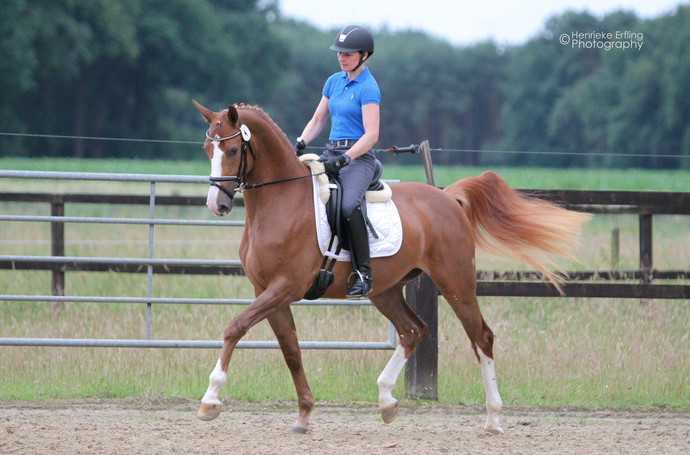 Beatrice Buchwald ook succesvol in Münster-Handorf featured image