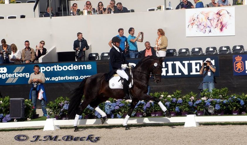 Twee volle broers lopen naar WK top-10 featured image