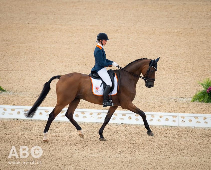 Goede dressuur Merel Blom in Strzegom featured image