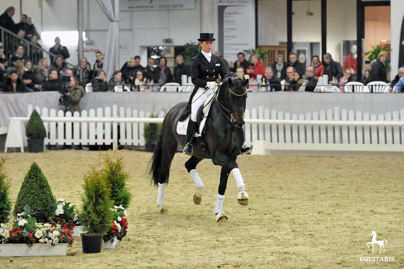 19.500 euro voor For Romance I-dochter in Westfaalse veulenveiling featured image