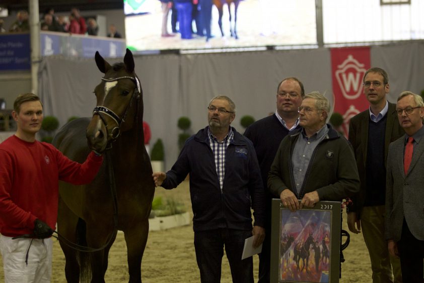 Een van de drie reservekampioenen bij het springen, cat.nr 57 (Dantos HBC x Veron) met fokker J. Veurink uit Loozen - Foto: Paardenkrant-Horses.nl/Rick Helmink