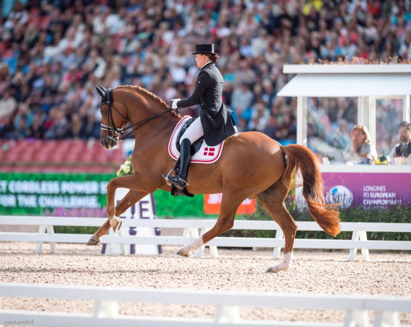 Dufour rijdt topscore met jonge troef Bohemian featured image