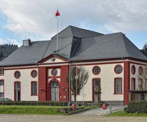 Hengsten stoeterij Dillenburg niet naar slachthuis featured image