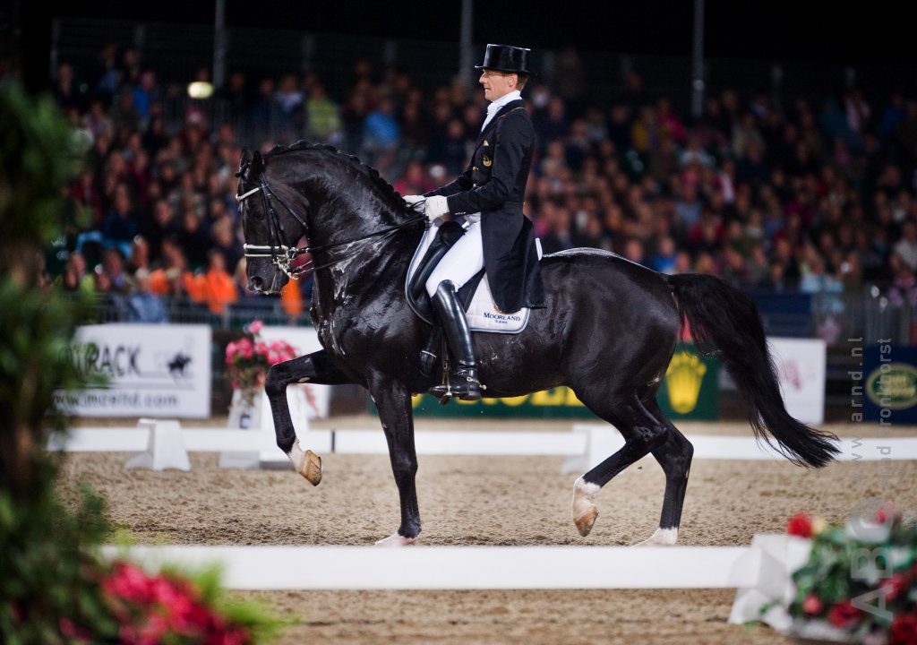 Merrieveulen uit Totilas en volle zus Valegro geboren Horses