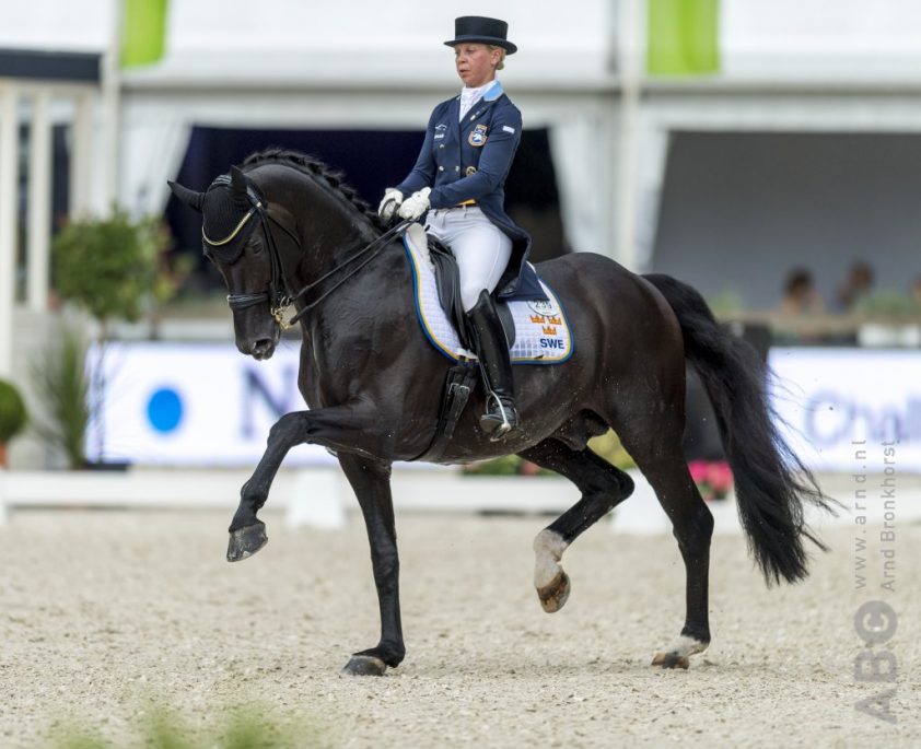 Zweden stuurt sterke teams naar Tryon featured image