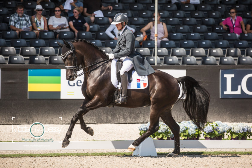 Totilas-zoon wint met overmacht Frans kampioenschap zevenjarigen featured image