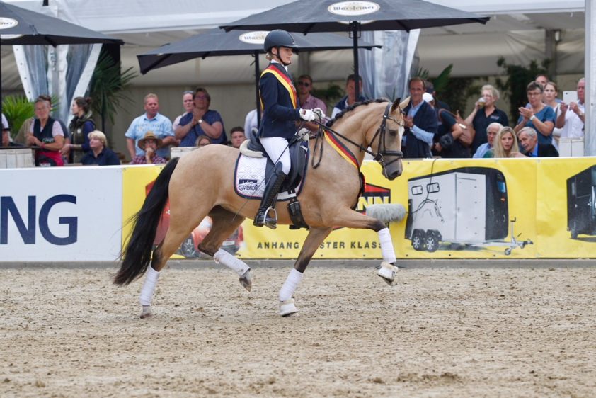In Beeld: de beste jonge pony’s van Duitsland featured image