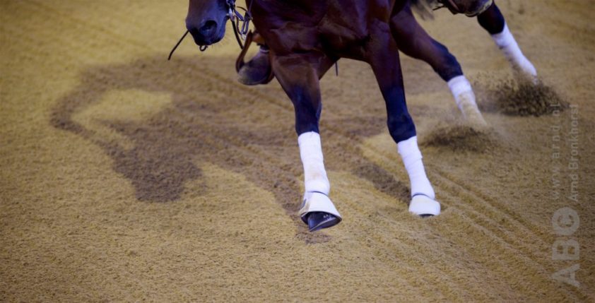 Afvaardiging WK reining bekend featured image
