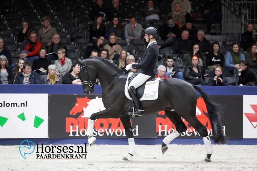 Gelderse hengst Kardieno verkocht aan Andreas Helgstrand featured image