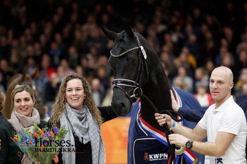 KWPN-kampioen Le Formidable vanaf maart voor 1.300 euro beschikbaar featured image