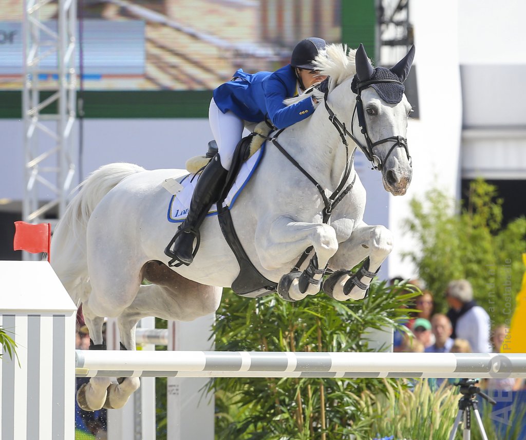 Zangersheide 58.000 euro voor Comilfo Plus Z uit As Cold As Ice Z Horses