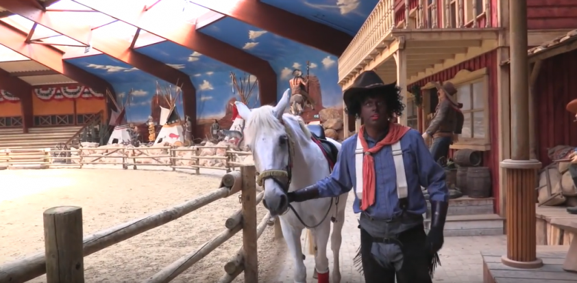 Zwolse Amerigo misschien wel leukste oude paard featured image