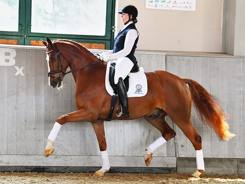 Winter-Schulze telt 159.000 euro neer in PSI onlineveiling featured image