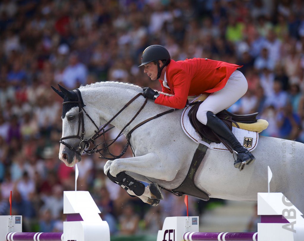 In Beeld de carrière van d'Amour Horses