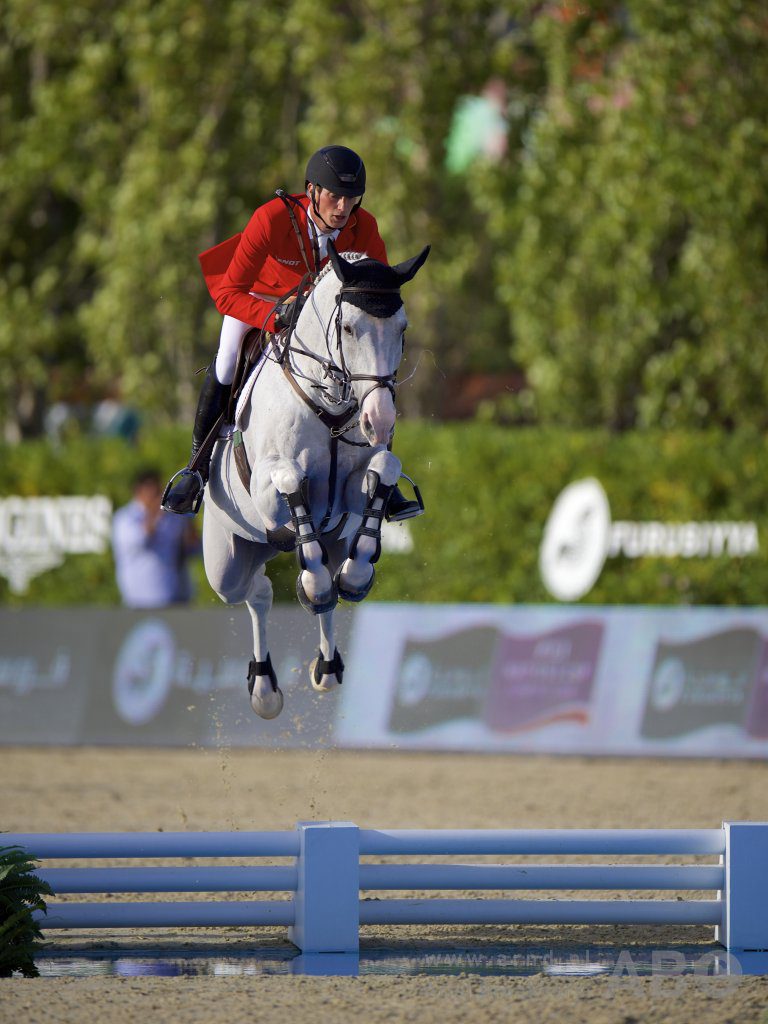 In Beeld de carrière van d'Amour Horses