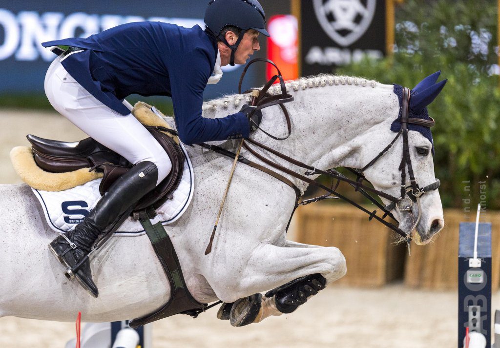In Beeld de carrière van d'Amour Horses