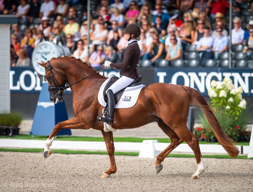 Dinja van Liere en Independent Little Me naar dik 76% in ZZ-Zwaar-debuut featured image