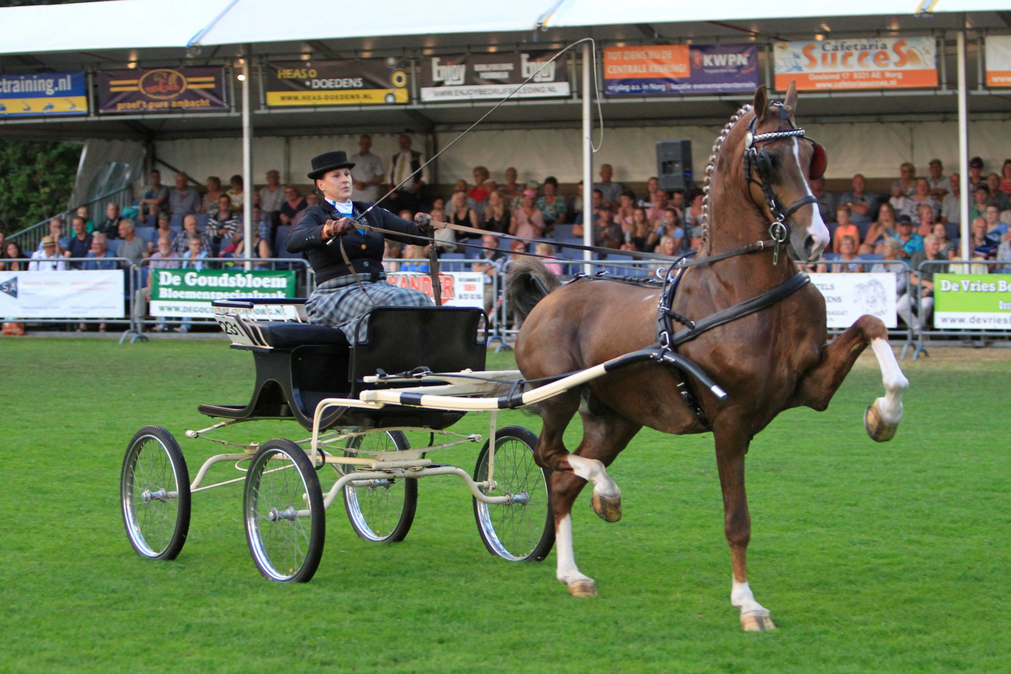 Concours Hippique Norg één groot feest met vier kampioenen - Horses.nl