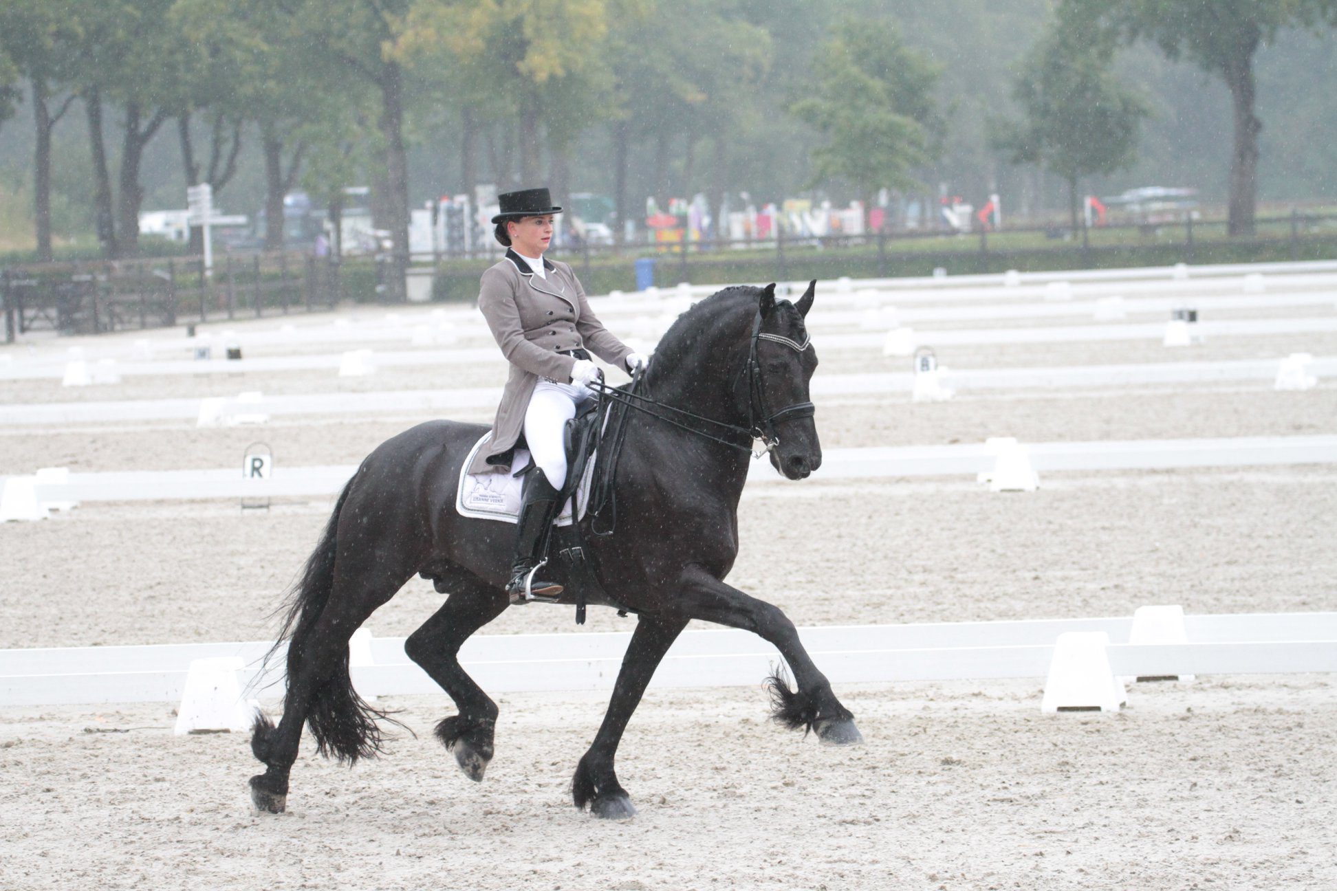 Veenje en Friesen Exclusiv Wirdmer aan start op CDI Herning - Horses.nl