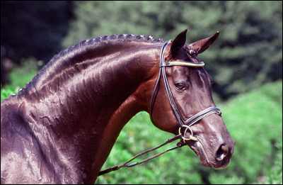 Golden Oldies: Rubinstein I featured image