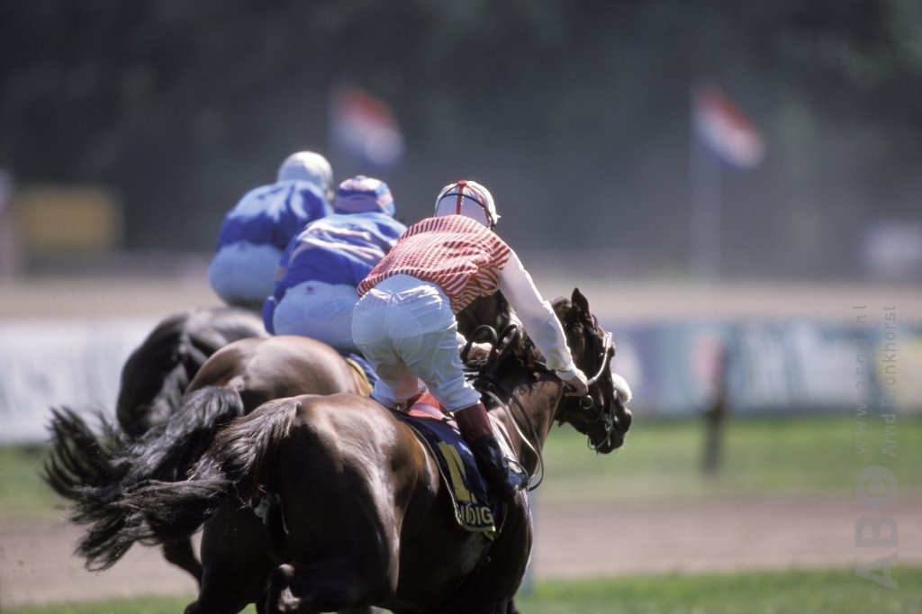 Switzerland has also tightened the use of the whip in racing