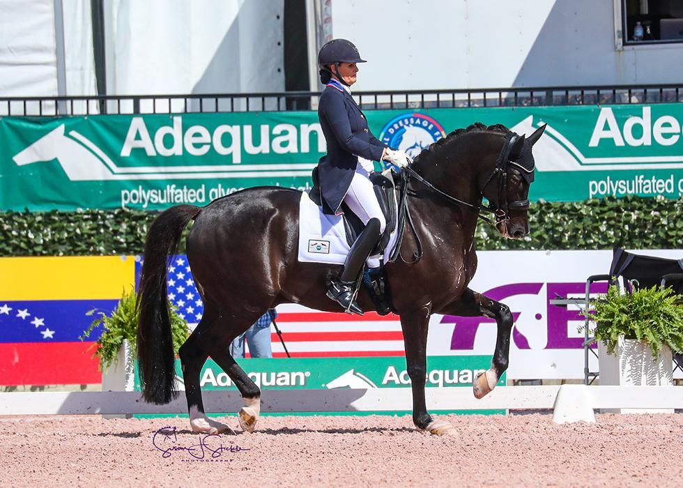 Ashley Holzer investeert in Fürst Jazz-zoon - Horses.nl