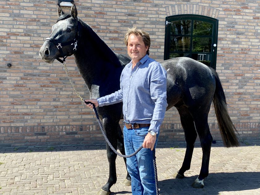 52.500 euro voor Diarado-nazaat op eerste Youhorse.auction featured image