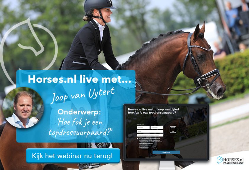 Webinar Horses.nl live met... Joop van Uytert