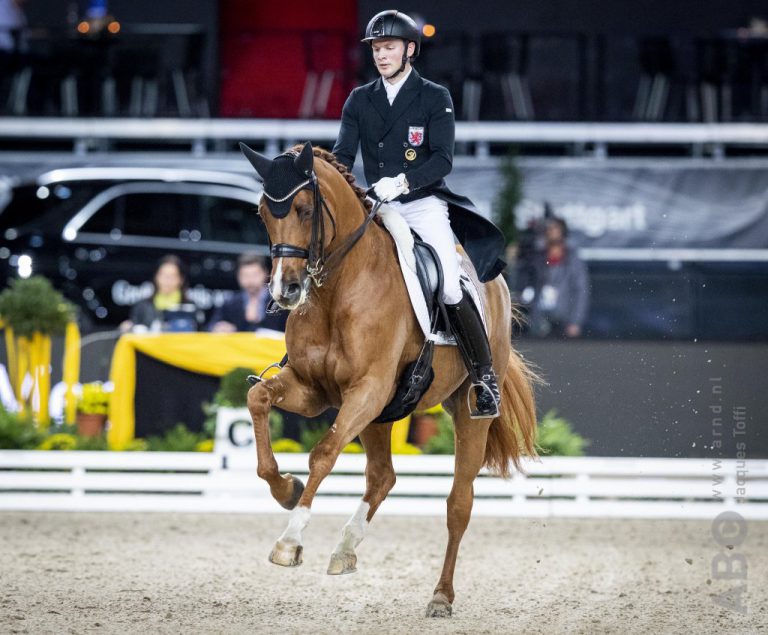 Horse dissertation ideas image