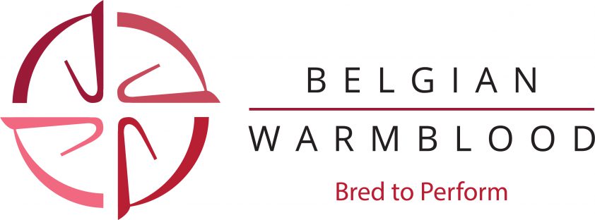 BWP Hengstenkeuring begint dag eerder featured image