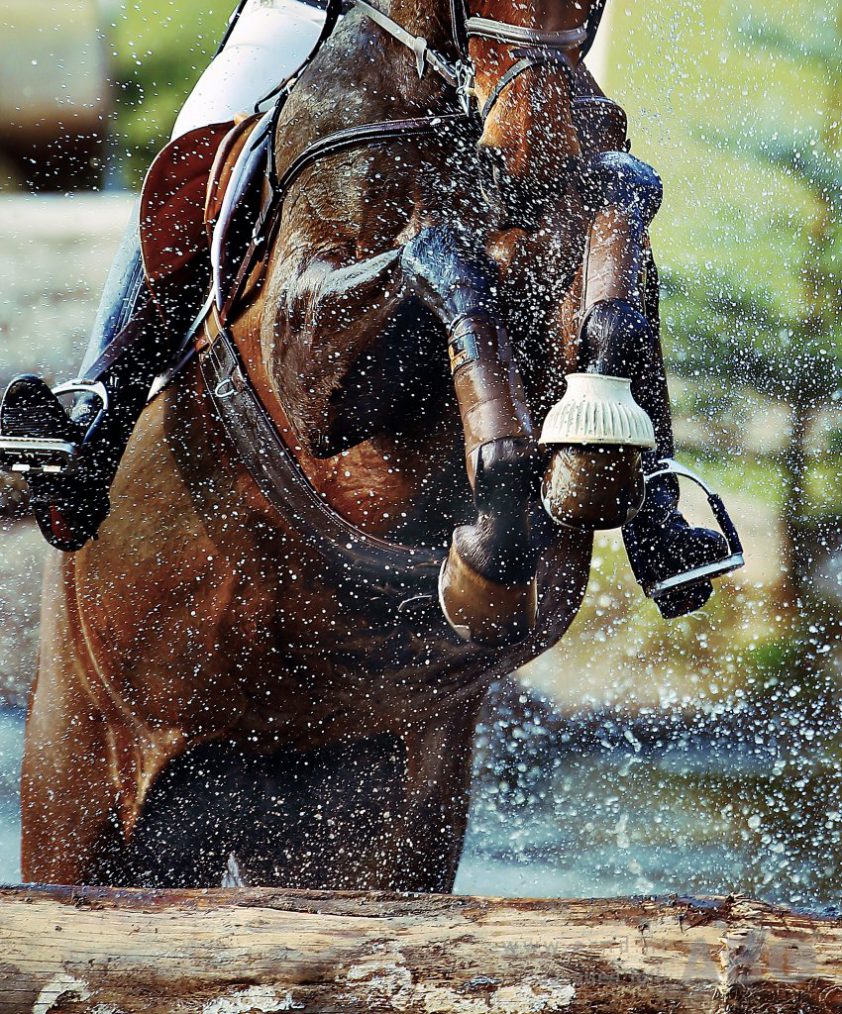 Bijeenkomst FEI Eventing Forum: ‘We moeten zorgen dat onze sport duurzaam blijft’ featured image