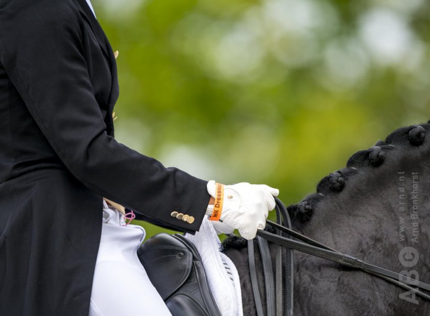 Eventingteam houdt goede aansluiting op EK featured image