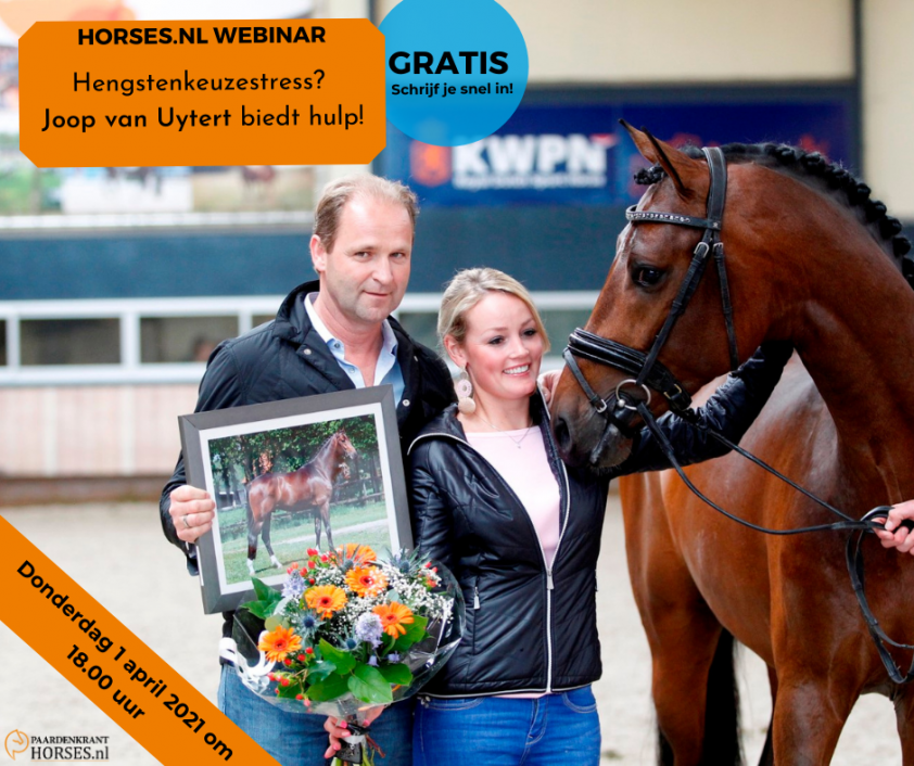 Hengstenkeuzestress? Joop van Uytert biedt hulp! featured image