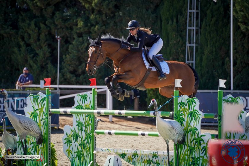 Goede deals dag 1 Youhorse on Tour: 70.000 euro voor Big Star-zoon featured image