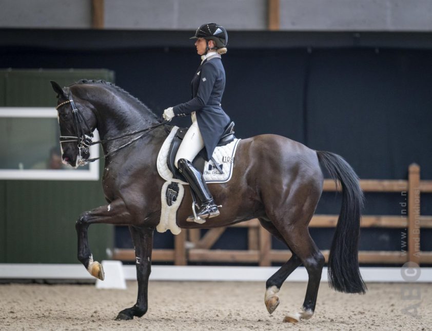 Video: Marlies van Baalen met Go Legend naar 73% featured image
