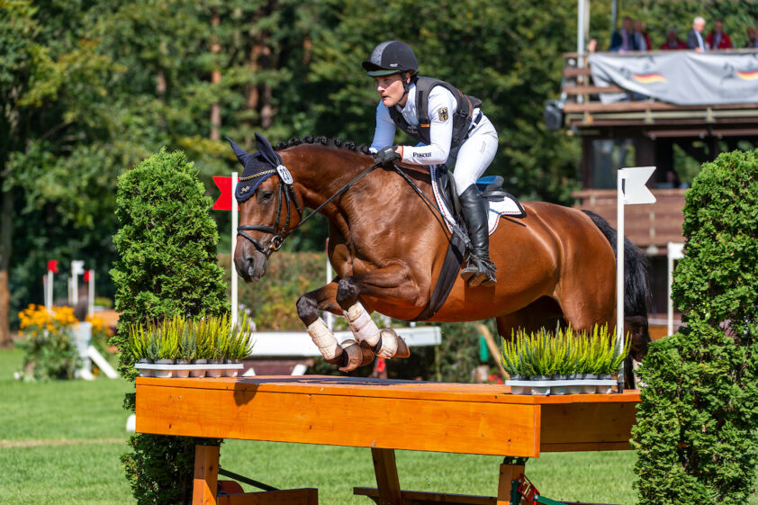 Anna Lena Schaaf wint WK zevenjarige eventers met Lavagon-dochter featured image