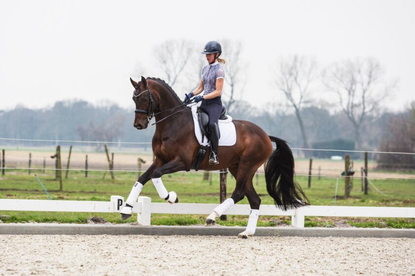 Kate Kyros wint Intermédiaire II-debuut met Intro K featured image