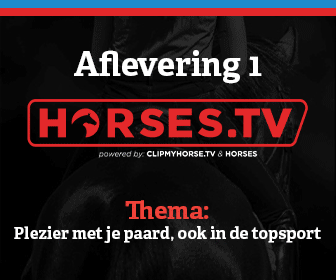 Horses.tv
