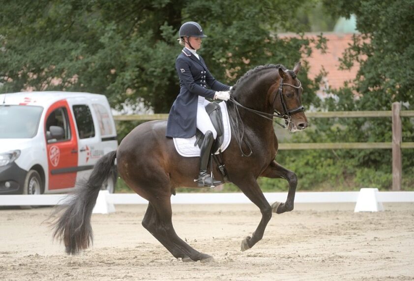 Grand Prix-paard Italo van Saskia van Es verkocht featured image