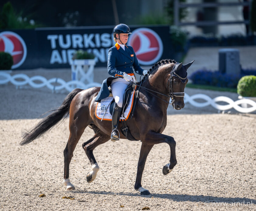 Karen Nijvelts Grand Prix-paard Elysias uit de sport featured image