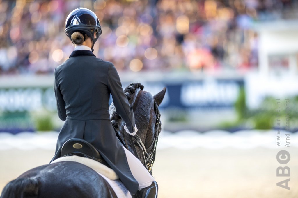 Slechts één kandidaat voor organisatie EK Dressuur 2025 Horses