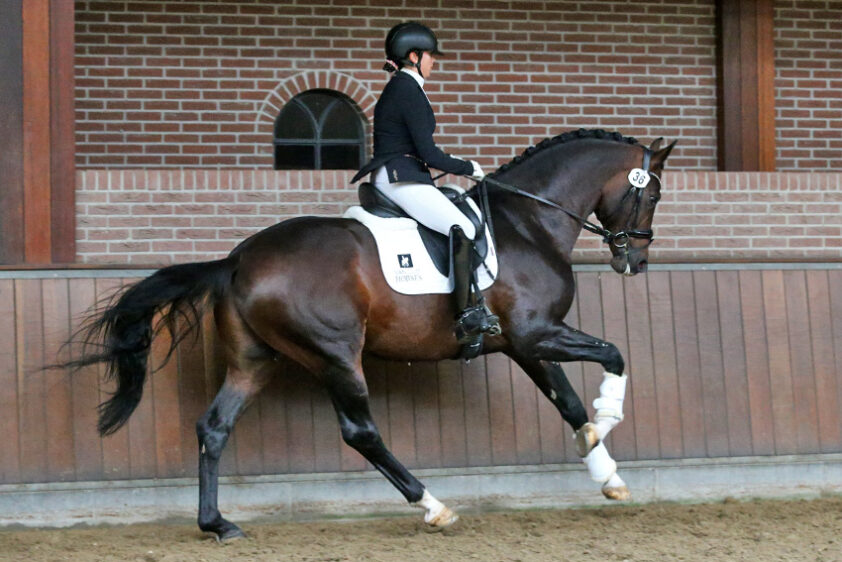 Ilegro nieuwste aanwinst voor NRPS featured image