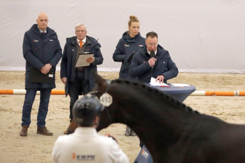 KWPN zoekt HK-commissieleden dressuur en Gelders Paard featured image