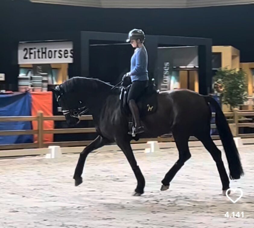 Video: Eerste beelden van Isabell Werth en Wendy featured image