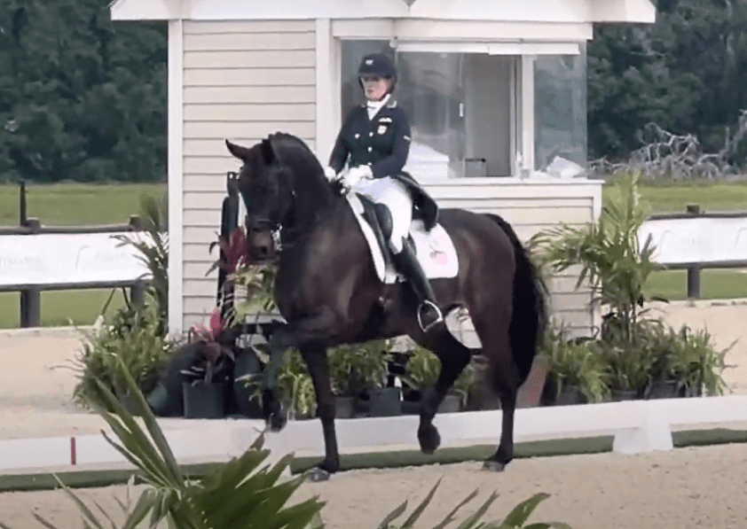 Ashley Holzer debuteert met Hawtins San Floriana featured image