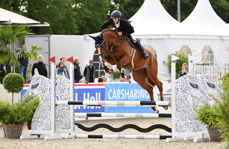 Vier kampioenen gehuldigd op Holsteiner Landeschampionat featured image