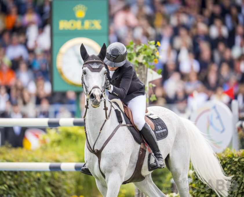 Grand Prix Sales: 65.000 euro voor halfzusje van Leone Jei featured image