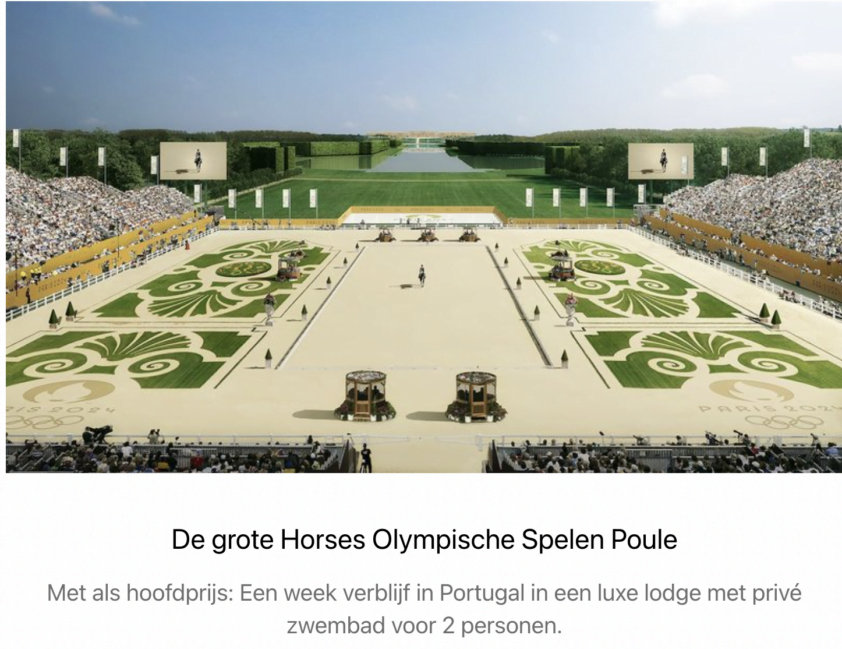 De grote Horses Olympische Spelen poule met fantastische prijzen featured image