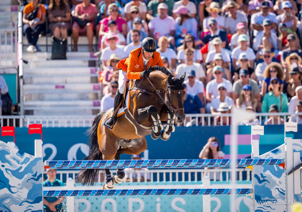 46.000 euro voor Uricas vd Kattevennen-zoon op Stride Horse Auction featured image